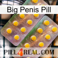 Big Penis Pill new10